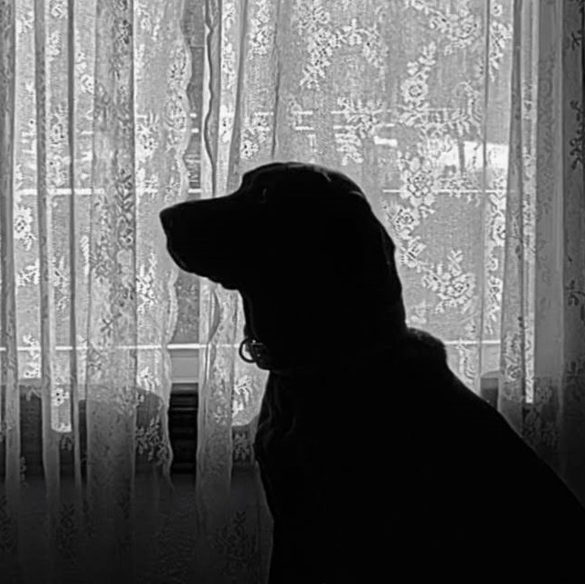 Bob Recotta Communications