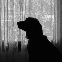 Tasteful Nudes – Bob Recotta Communications