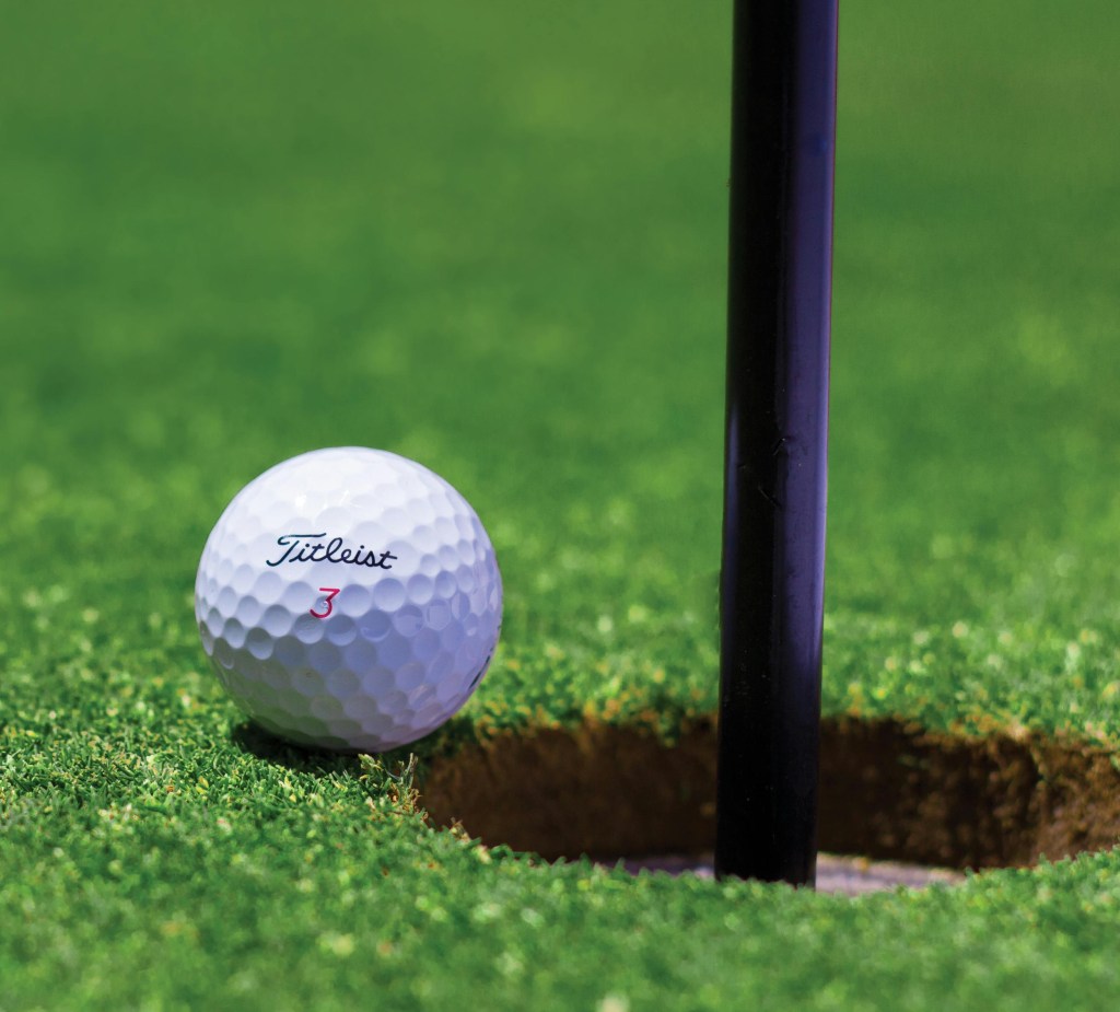 ADHD, ball golf, hobbies, dopamine, short attention span