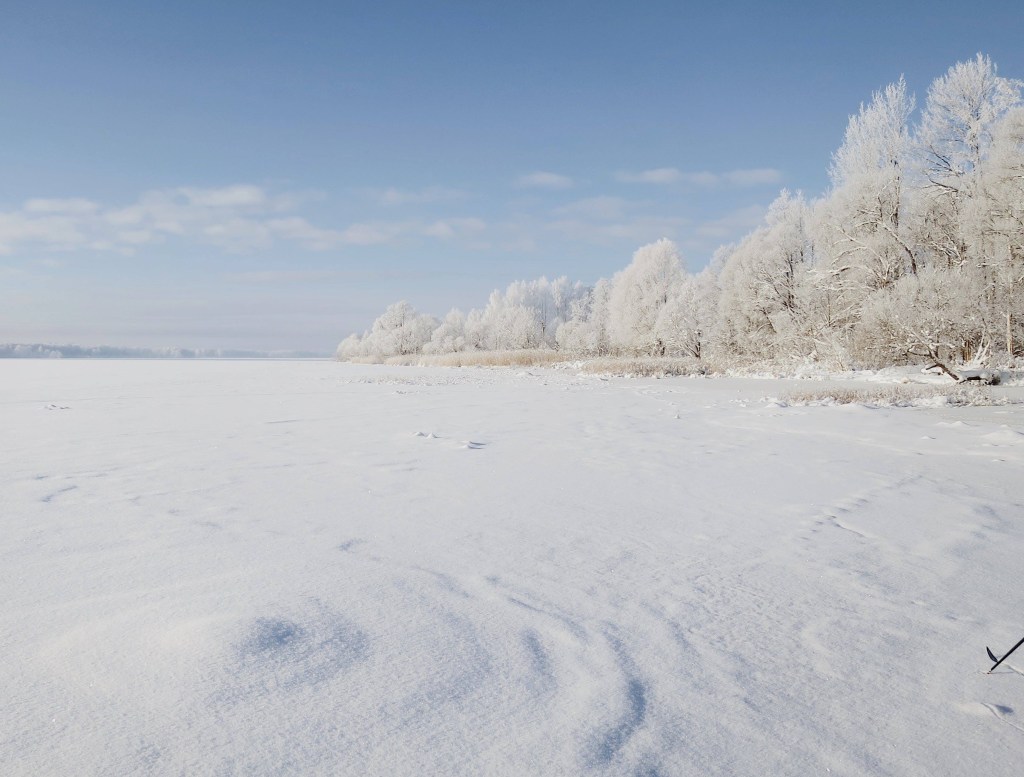 gardening, winter, cold, spring, planting, field, snow
